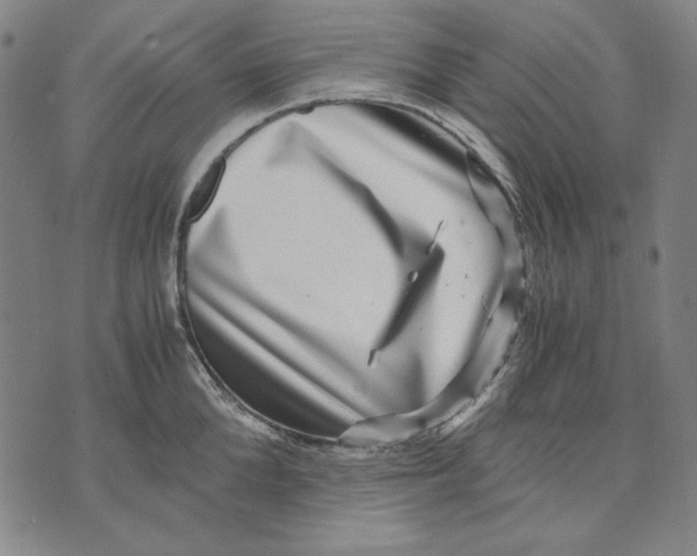 X0000071810904200607211709
