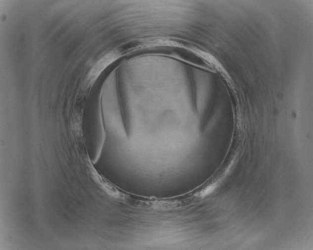 X0000071810905200607211709
