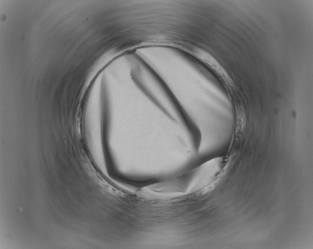 X0000071810908200607211709