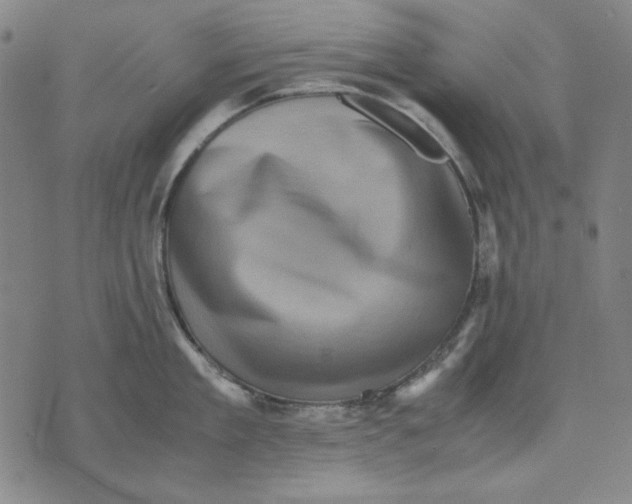 X0000071810909200607211709