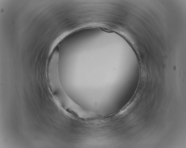 X0000071810910200607211709