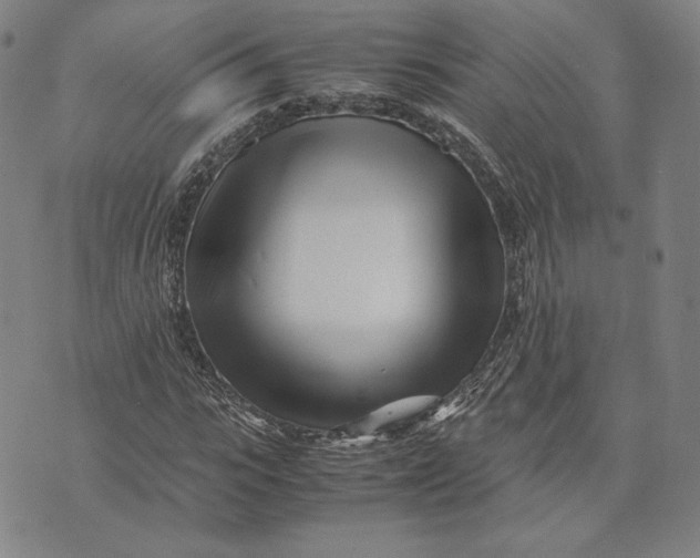 X0000071810919200607211708