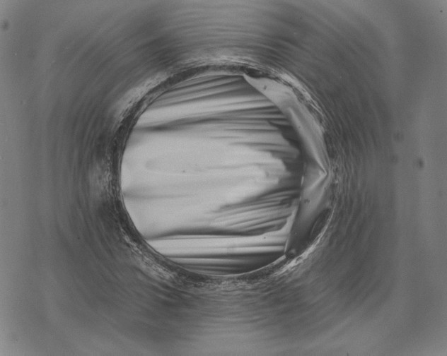 X0000071810922200607211708
