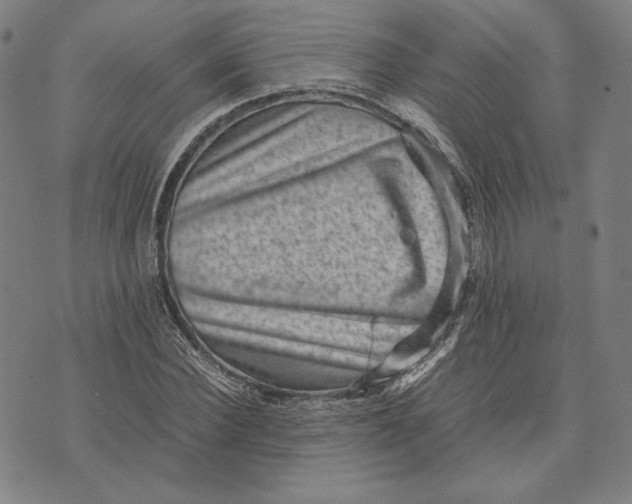 X0000071810924200607211708