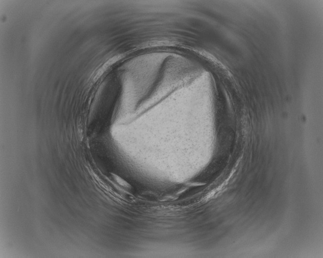 X0000071810929200607211708