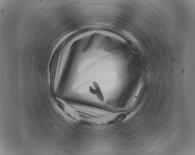 X0000071810940200607211708