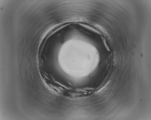 X0000071810942200607211708