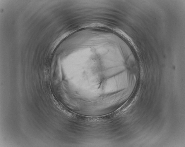 X0000071810945200607211708