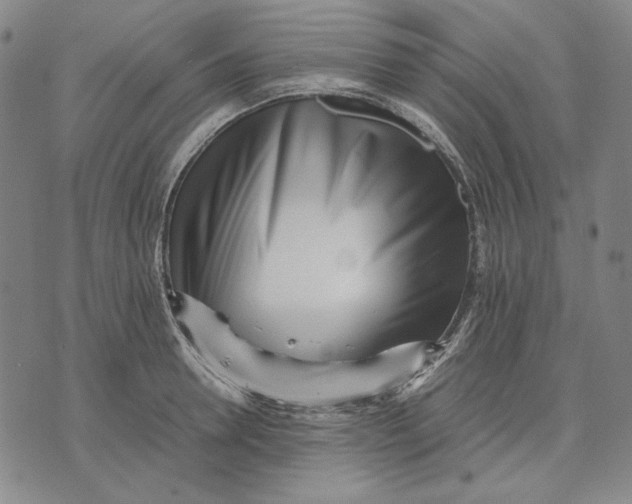 X0000071810946200607211708