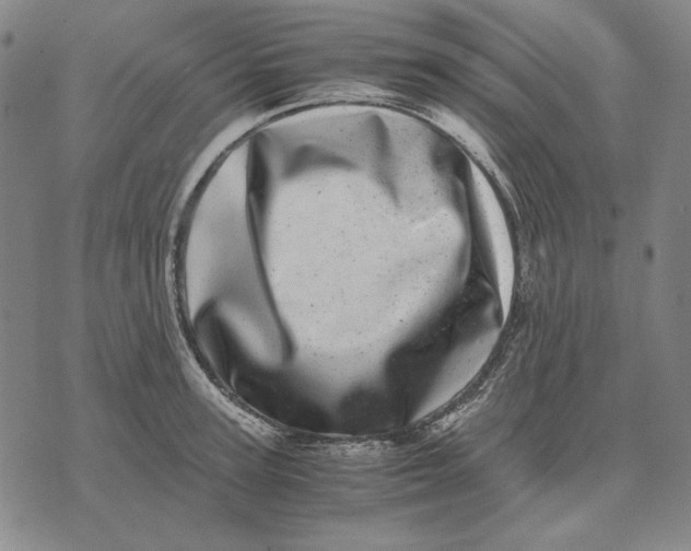 X0000071810947200607211708