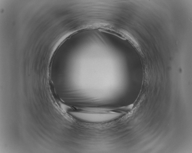 X0000071810948200607211708
