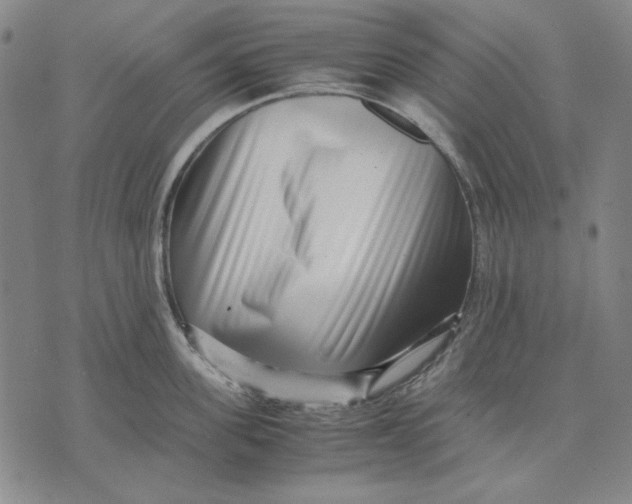 X0000071810955200607211708