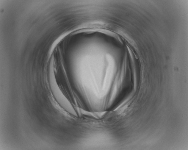 X0000071810960200607211708
