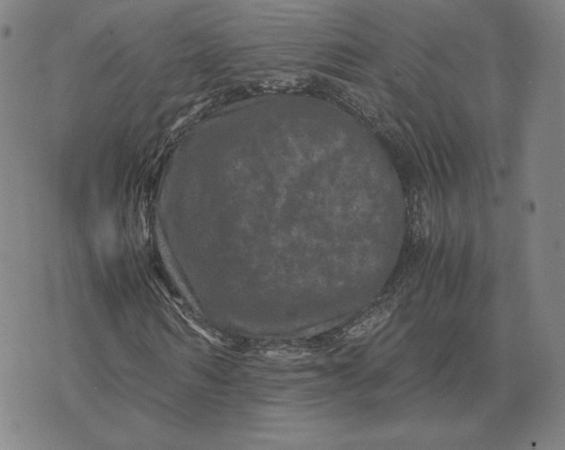 X0000071810962200607211708