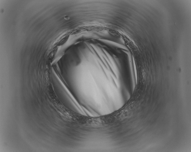 X0000071810968200607211708