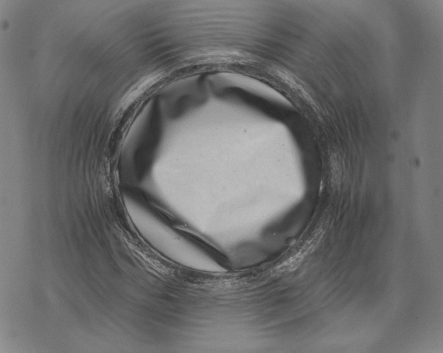 X0000071810970200607211708