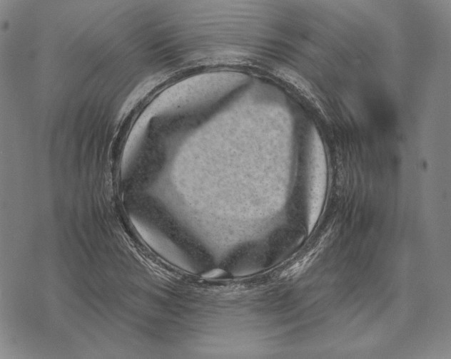 X0000071810978200607211707