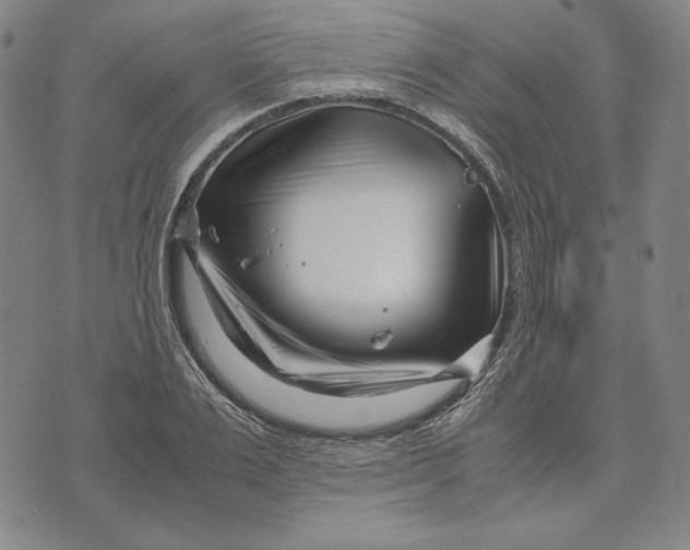 X0000071810983200607211707