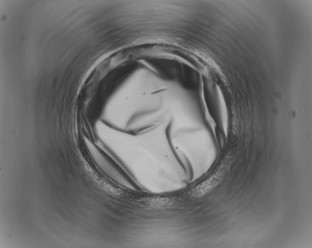 X0000071810984200607211707