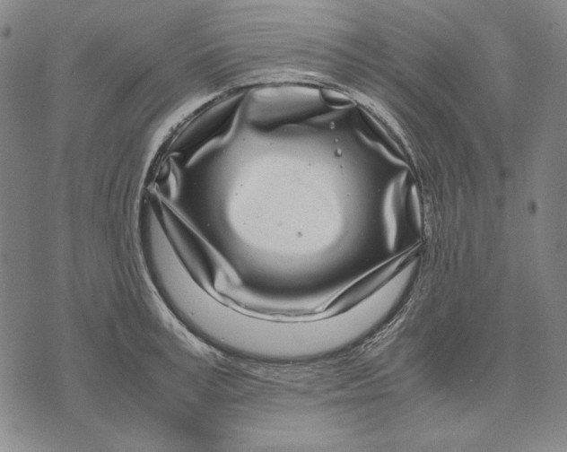 X0000071810995200607211707