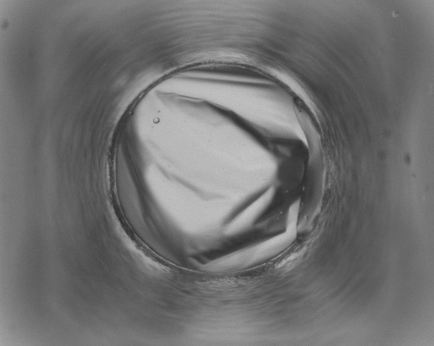 X0000071810999200607211707