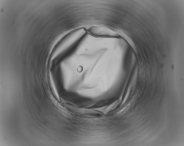 X0000071811004200607211707