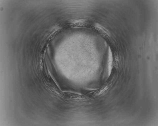 X0000071811010200607211706