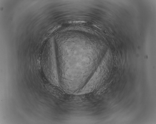 X0000071811013200607211706
