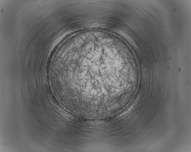 X0000071811023200607211706