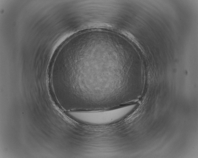 X0000071811024200607211706