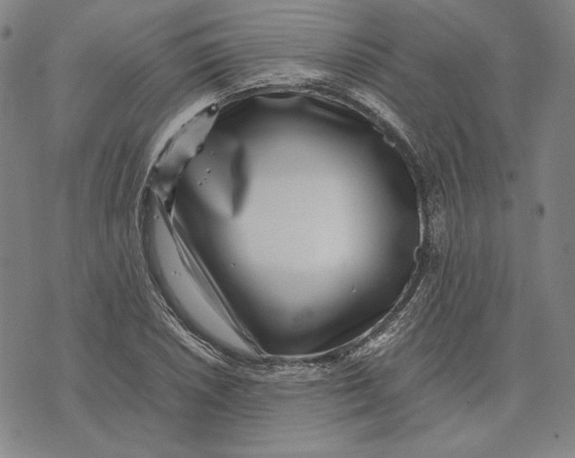 X0000071811026200607211706