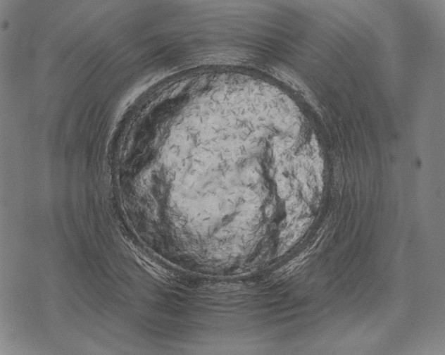 X0000071811027200607211706