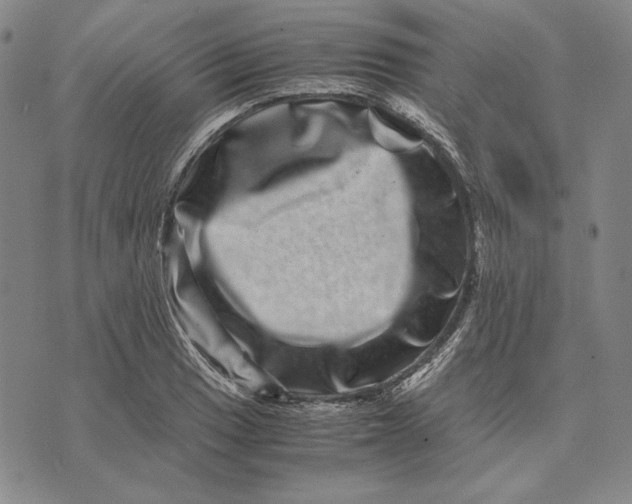 X0000071811033200607211707