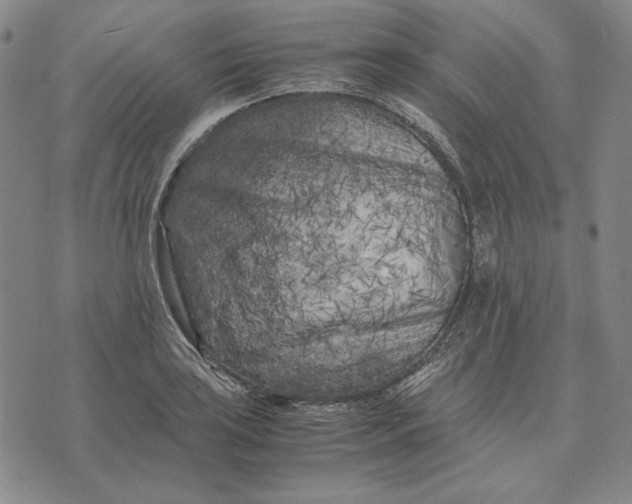 X0000071811035200607211707