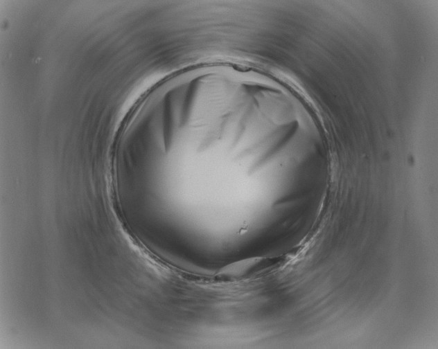 X0000071811048200607211707