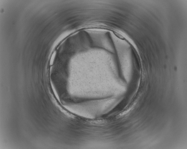 X0000071811053200607211707