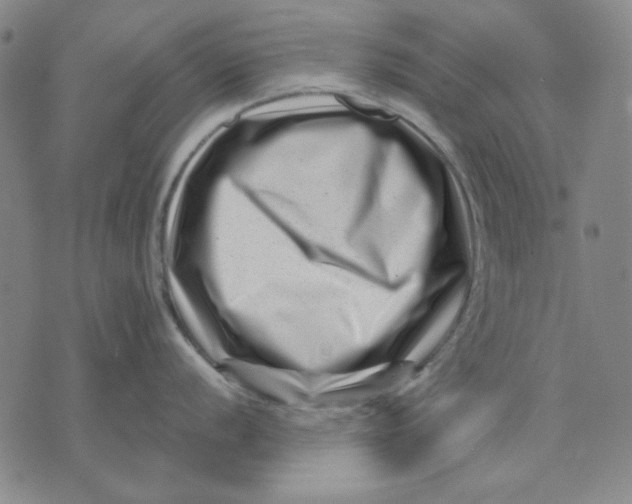 X0000071811056200607211707