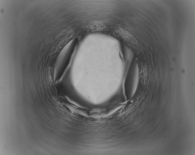 X0000071811058200607211706