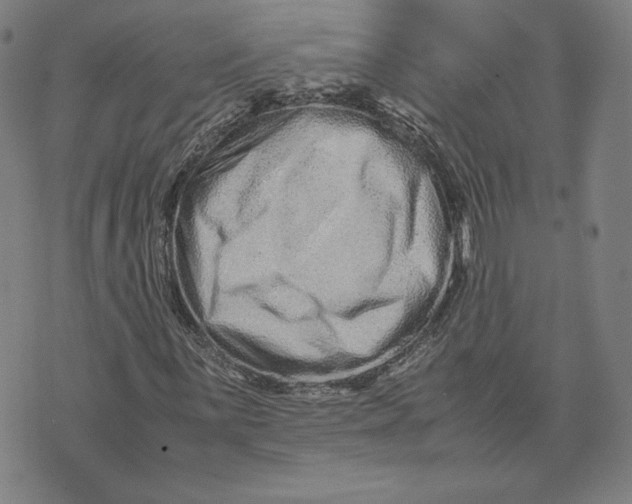 X0000071811059200607211706