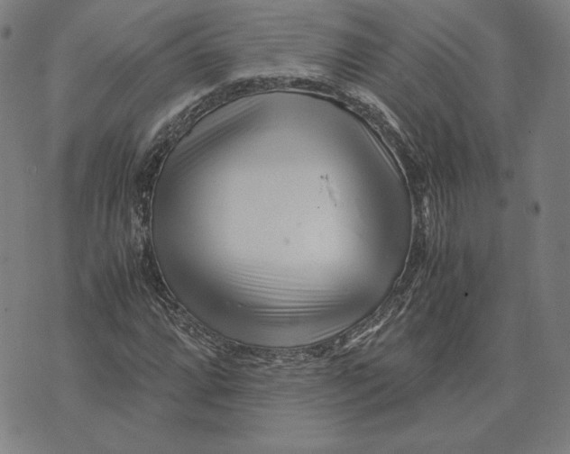 X0000071811064200607211706