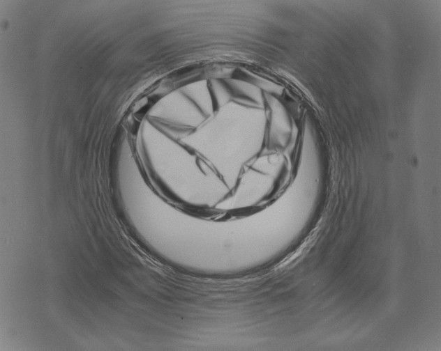 X0000071811065200607211706
