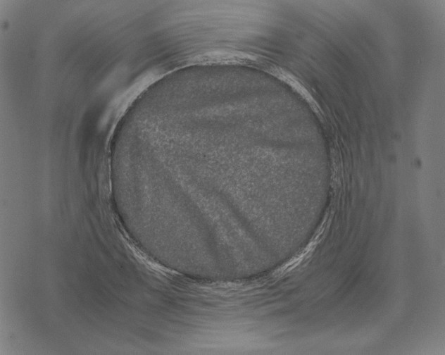 X0000071811075200607211706