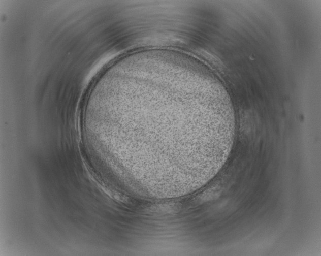 X0000071811078200607211706
