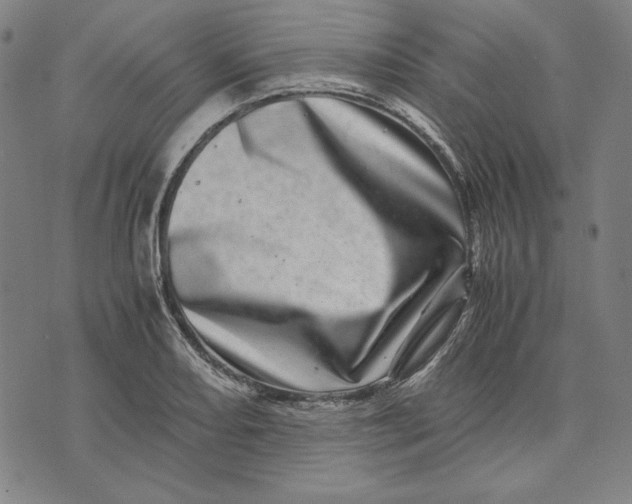 X0000071811082200607211706