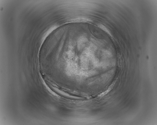 X0000071811087200607211706