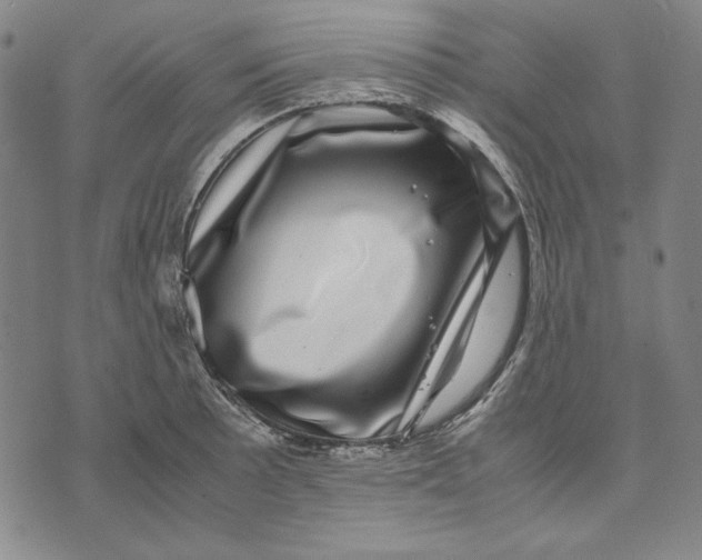 X0000071811089200607211706