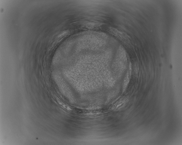 X0000071811105200607211705