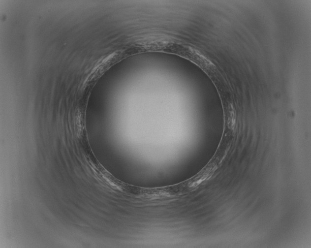 X0000071811108200607211705
