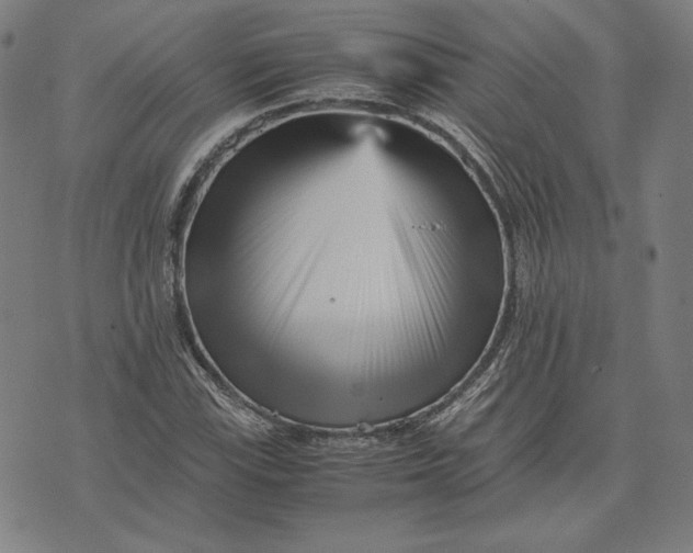 X0000071811115200607211705