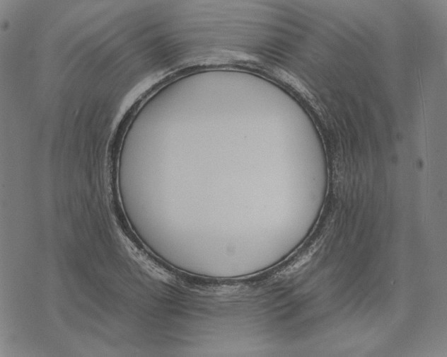 X0000071811122200607211705